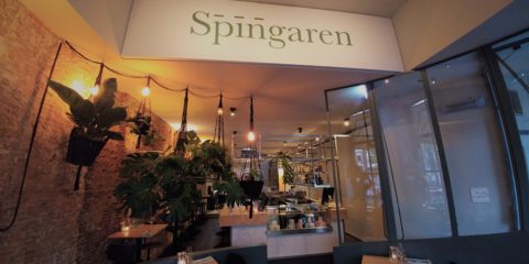 spingaren